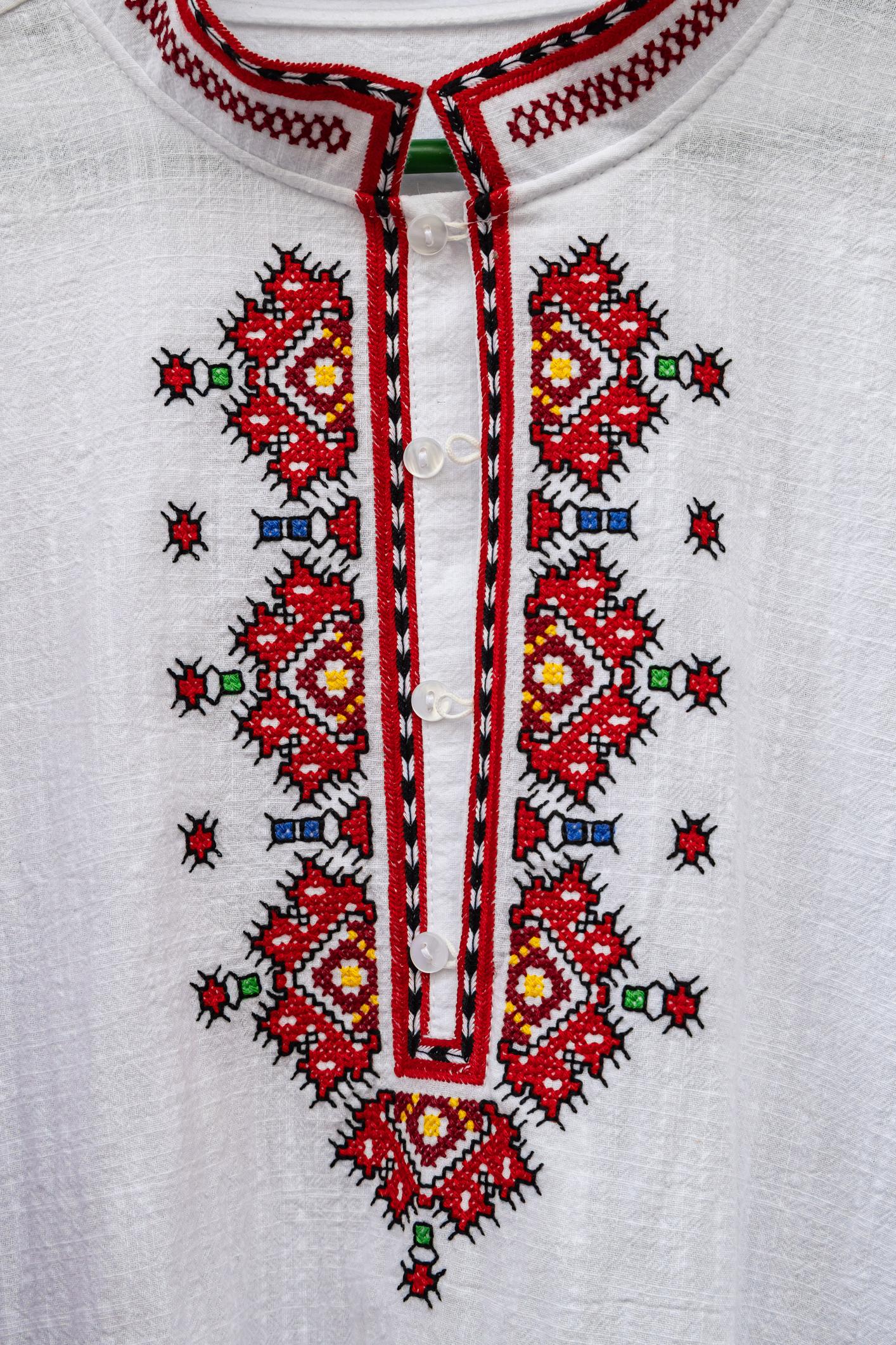 Шевици